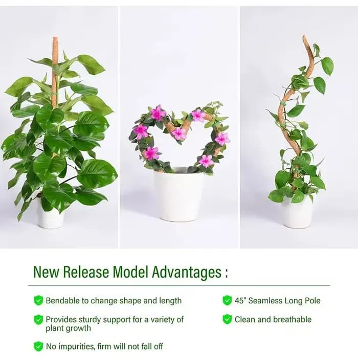 Plantes pliables Support d'escalade plante mousse coir pôle bas Support d'escalade déformé cocotier