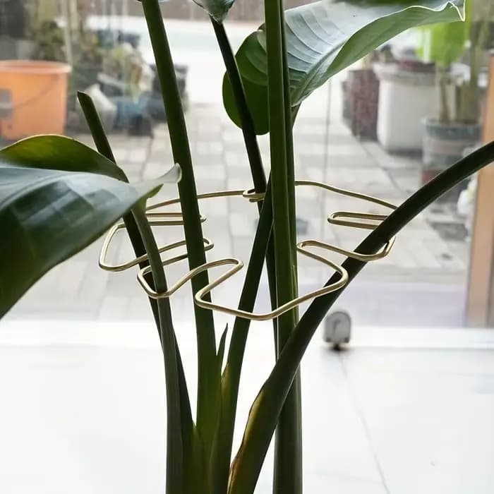 Grand support pour plantes suspendues, crochets en fer, adapté à la décoration de pots de fleurs, à
