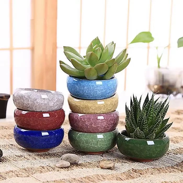 Jardinière succulente en céramique de fleur de glaçure de craquel de glace mignonne Mini Pot de plante Pot