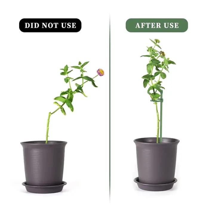15 Pièces de Supports de Plantes Réglables, Supports de Fleurs de Jardin, Anneaux de Soutien pour Pl