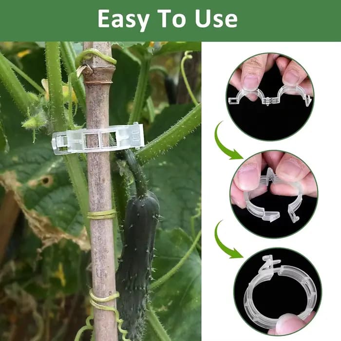 Clips pour plantes grimpantes, 50 à 100 pièces, pinces à tomates pour suspendre des plantes, Support