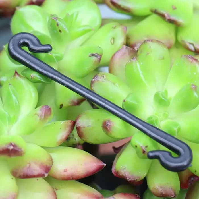 Cages et supports multi-usages pour plantes de jardin, vignes, 200 à 800 pièces, Clips de jardin, bo