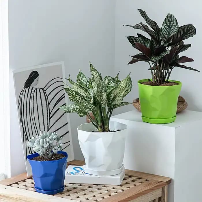 Pot de fleurs décoratif Durable, Stable, respirant, plantes succulentes, jardinière de pépinière avec plateau pour la maison