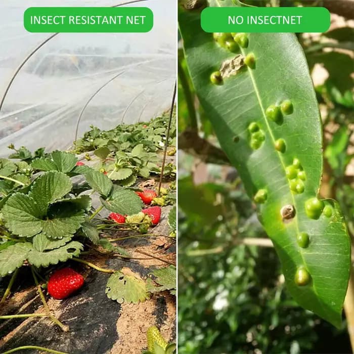 Filet de protection anti-oiseaux pour plantes, protection contre les insectes de jardin, couverture