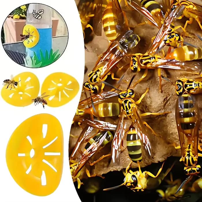 Piège à insectes volants, 5 pièces, entonnoir réutilisable en forme de fleur, tueur de guêpes d'abei