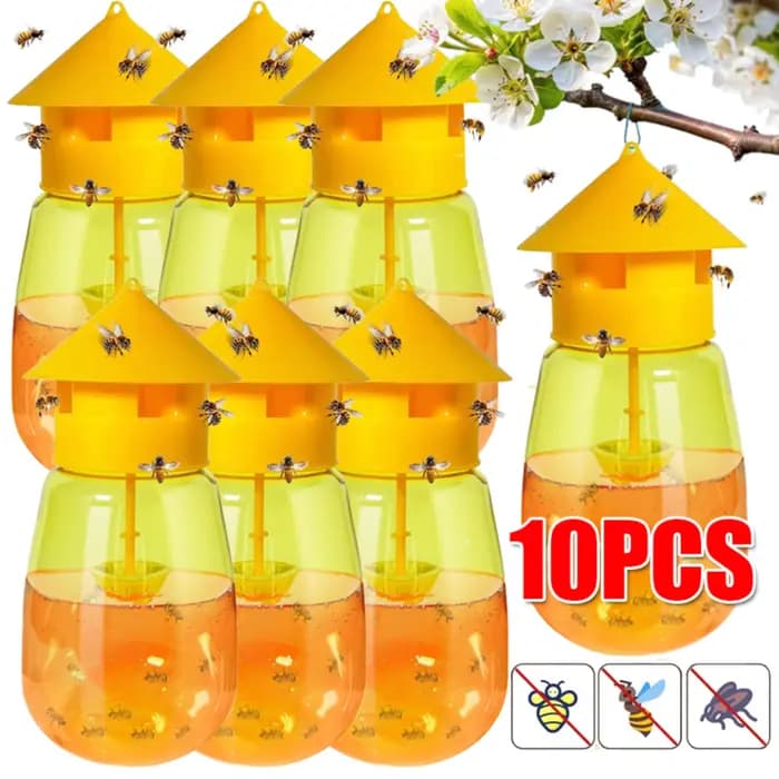 Piège à phéromones liquide pour mouches des fruits