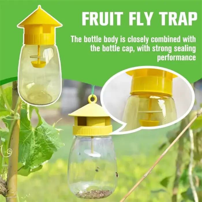 Piège à mouches en plastique pour fruits