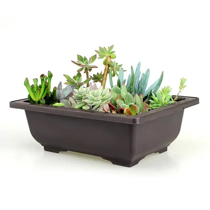 Pot de fleur en plastique