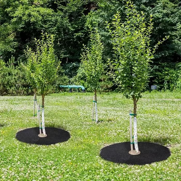 Anneau de paillis d'arbre non tissé, barrière de désherbage, polymères protecteurs, couverture végét