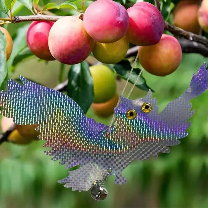 Dispositif de contrôle répulsif pour oiseaux, hibou, réfléchissant au Laser, faux hibou, épouces, Pi