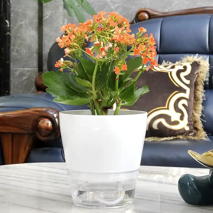 Pot de Fleur Paresseux avec Trou de Proximité pour Plantes d'Nik