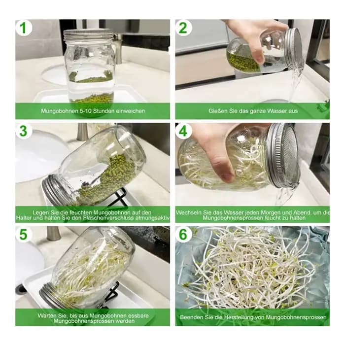 Kit de germination de pot Mason à large bouche en verre organique