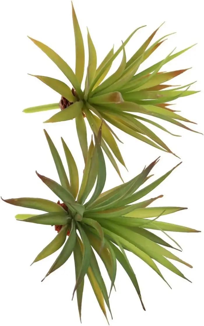 2 Pièces de Plantes Artificielles Succulentes Yucca Vera