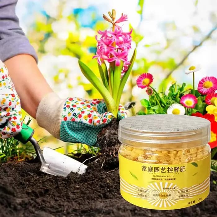 Engrais à libération lente contrôlé spécial 120 jours pour plantes succulentes