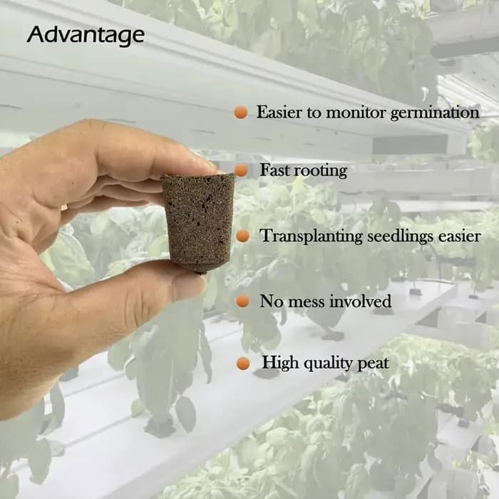 Éponges hydroponiques pour semis, fleurs de jardin, plantation, pouce vert, nuit de sol pour favoris