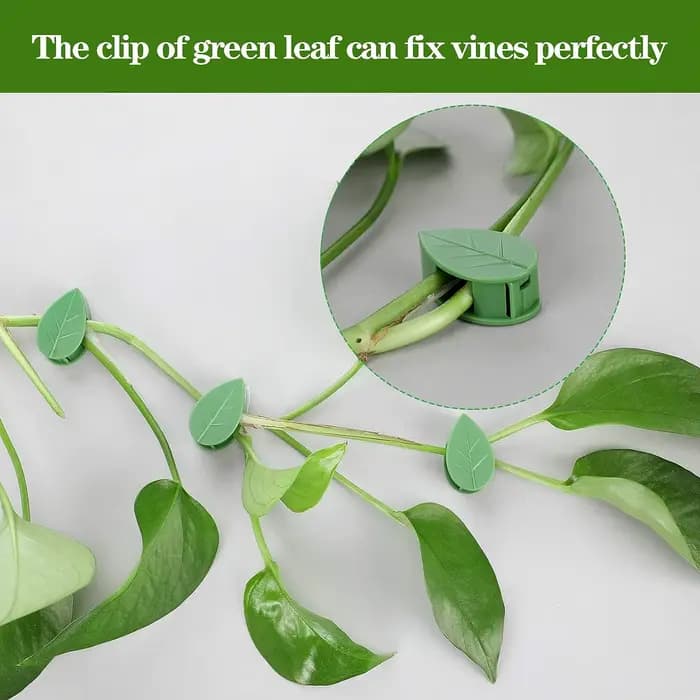 Clips de fixation murale pour plantes grimpantes, autocollant acrylique, simulation de feuille verte