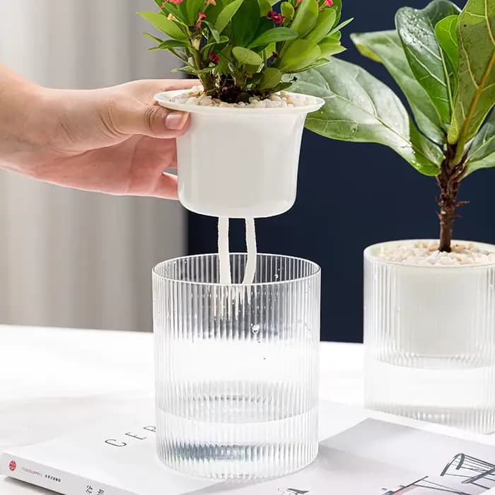 Pot de fleurs auto-arrosage pour plantes hydroponiques succulentes d'intérieur, Mini Pots de jardini
