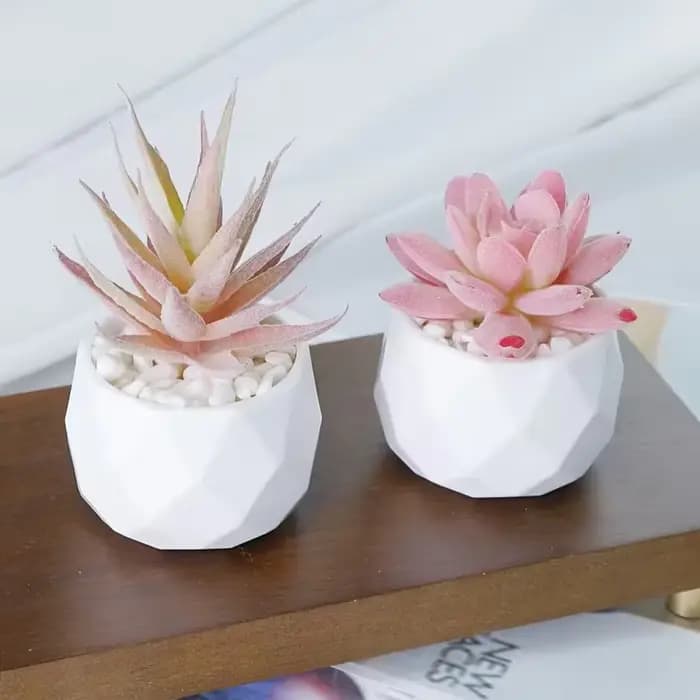 2 pièces de bonsaïs succulents artificiels avec pot, durables, nécessitant peu d'entretien. Pour la