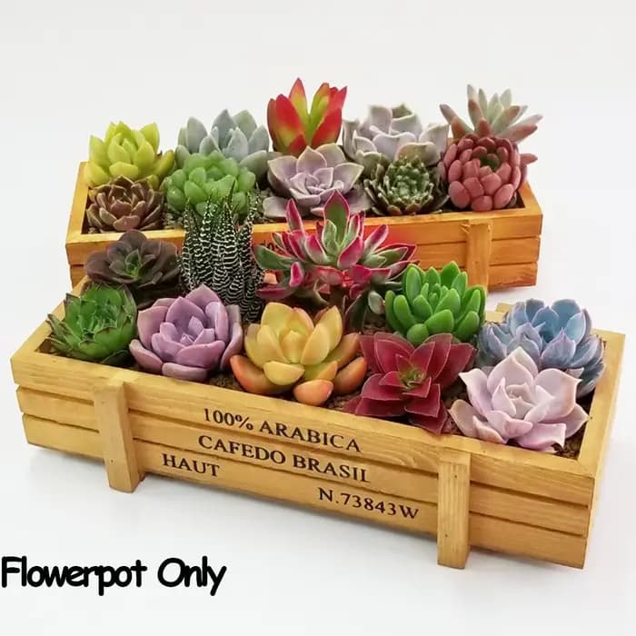 Vase rectangulaire en bois pour décoration de jardin
