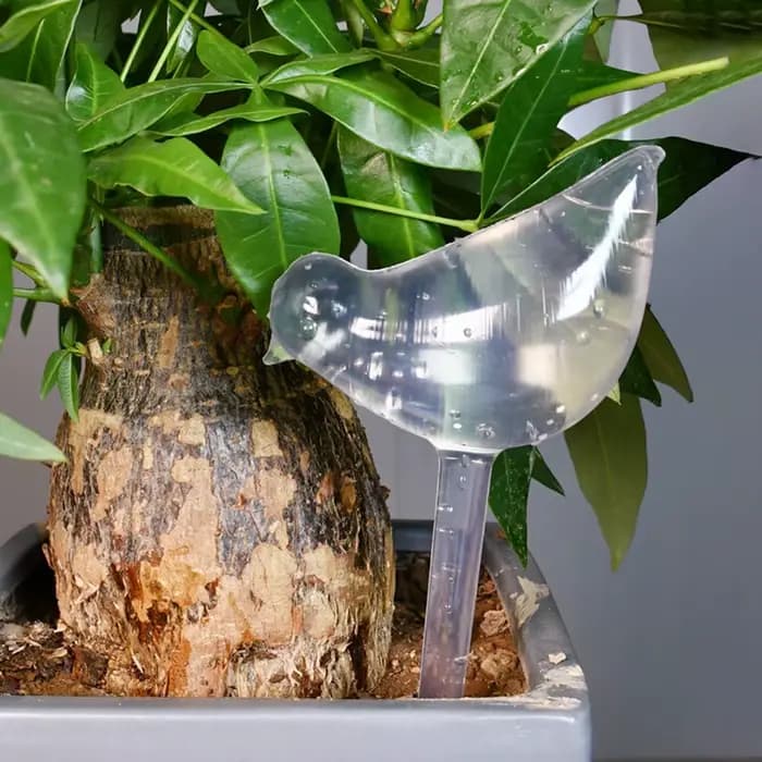 Globes d'arrosage automatique en forme d'oiseau de jardin