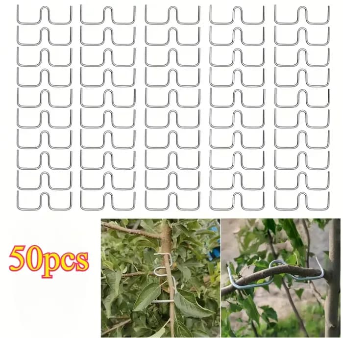 Kit d'outils de pliage de branches d'arbres fruitiers, 50 pièces, outils manuels de pliage de branches pour la mise en forme et l'écartement, outils de culture pour vergers