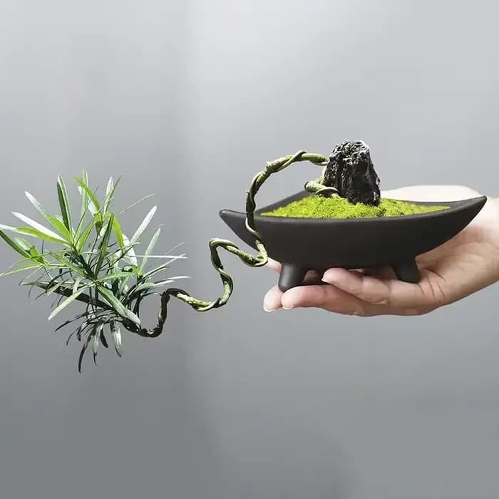 Pots de fleurs en céramique personnalisés pour bambou
