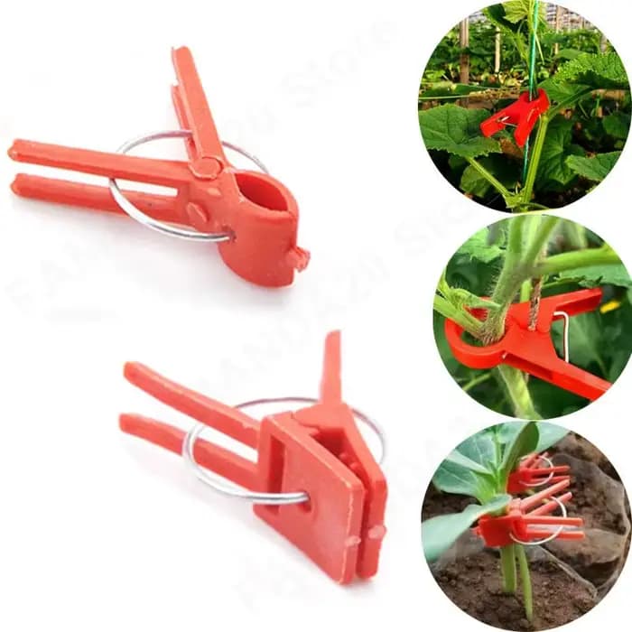 Pince de greffe de jardin en plastique, Clips de Support pour plantes, pinces Anti-chute pour plante