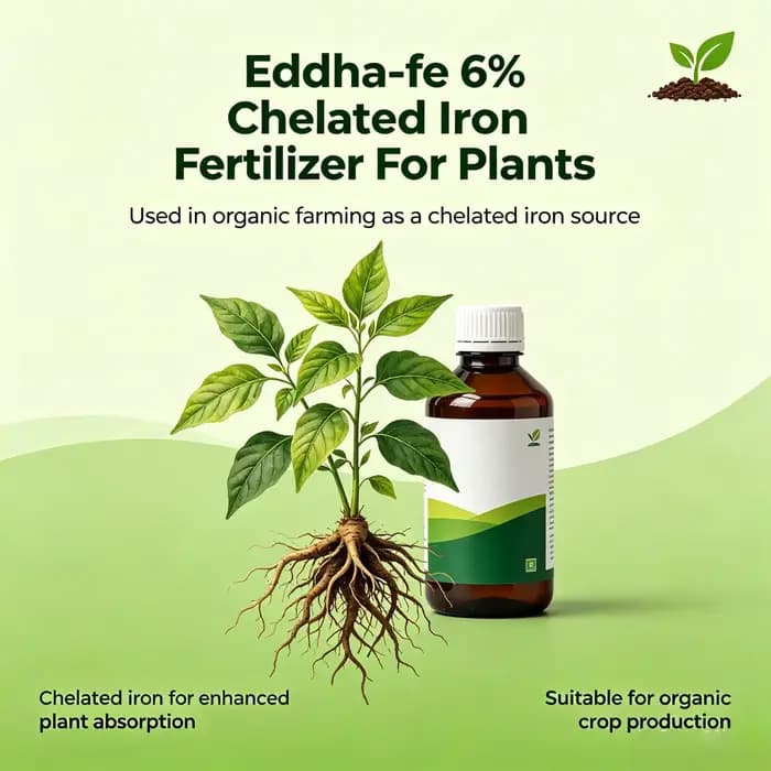 Fe 6% Engrais chélaté à base de fer pour plantes