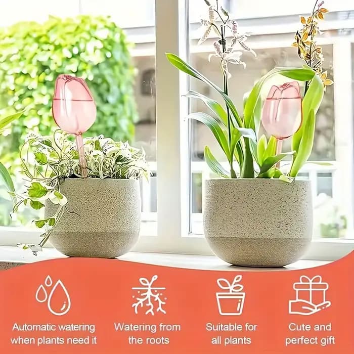 3 boules d'irrigation en forme de tulipe avec un design à embout étroit pour prolonger le temps