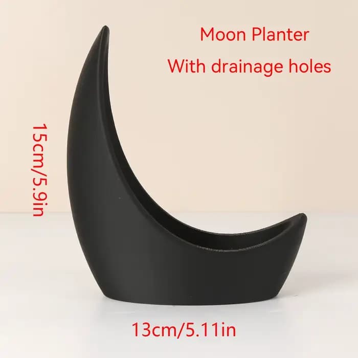 Pots de fleurs en forme de lune, décoration de maison moderne, plantation de plantes succulentes, améliorant la beauté spatiale, une qualité de vie indispensable.