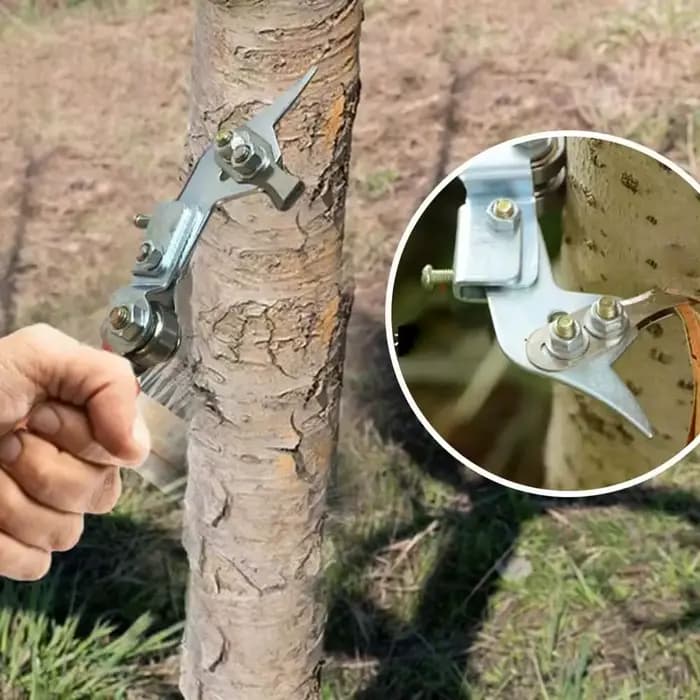 Coupe-annulation réglable en acier inoxydable pour arbres fruitiers, outil de taille et de débroussaillage, coupe-annulation de l'écorce pour jardinage