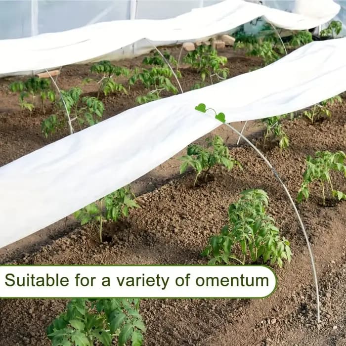 Arceaux de serre 2026 adaptés aux tunnels végétaux plus larges, cadres de soutien en fibre de verre antirouille et supports de jardinage pour plantes