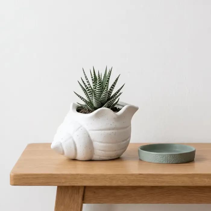 Pot de fleurs en forme de coquillage imprimé en 3D