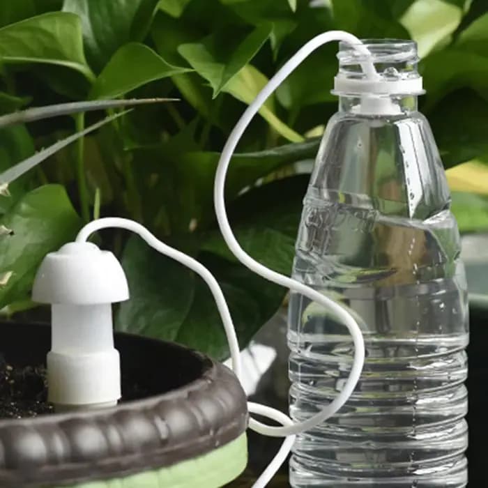 2 Piques d'arrosage automatiques en céramique pour plantes en pot, intérieur/extérieur, dispositif d