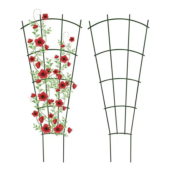 Cadre de Support d'escalade, piquet de plante, treillis de vigne, Supports métalliques, fournitures