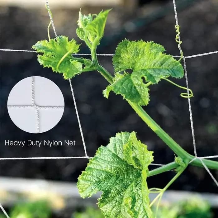 Filet en nylon pour plantes, tente en treillis de jardin, accessoires de support de plantes, RapDuty