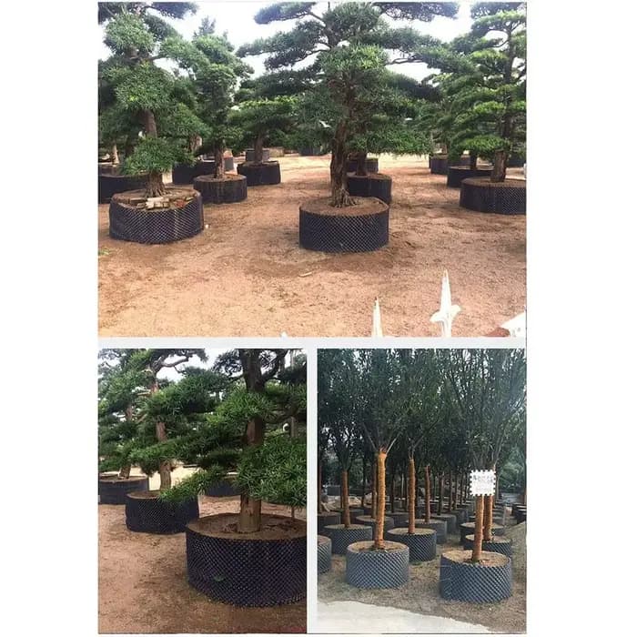 1 ensemble de soucoupes durables et rapides à installer pour pots de plantes