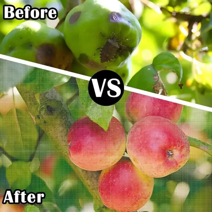 Couverture en filet anti-insectes pour arbres fruitiers