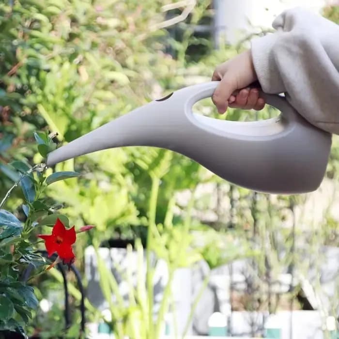 Arrosoir 1,5 L 2,5 L à long bec, grande capacité, pour plantes vertes et fleurs, avec poignée courbée, bouteille d'arrosage pour plantes en pot