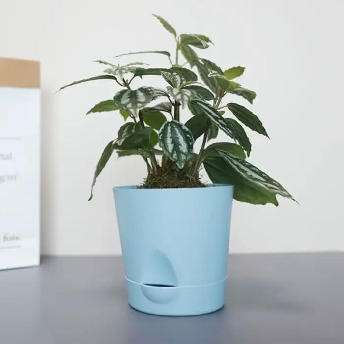 Pot de fleurs multicolore auto-arrosant en plastique