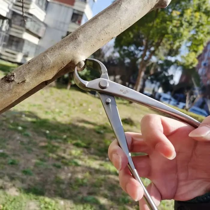 Outil d'élagage de bonsaï, coupe-racine en acier inoxydable de haute dureté, cisaille les Branches, coupe les Branches, pince de jardinage de fleurs