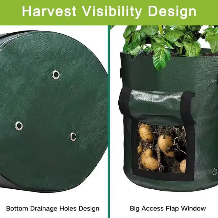 Sac de culture de pommes de terre avec fenêtre de visualisation
