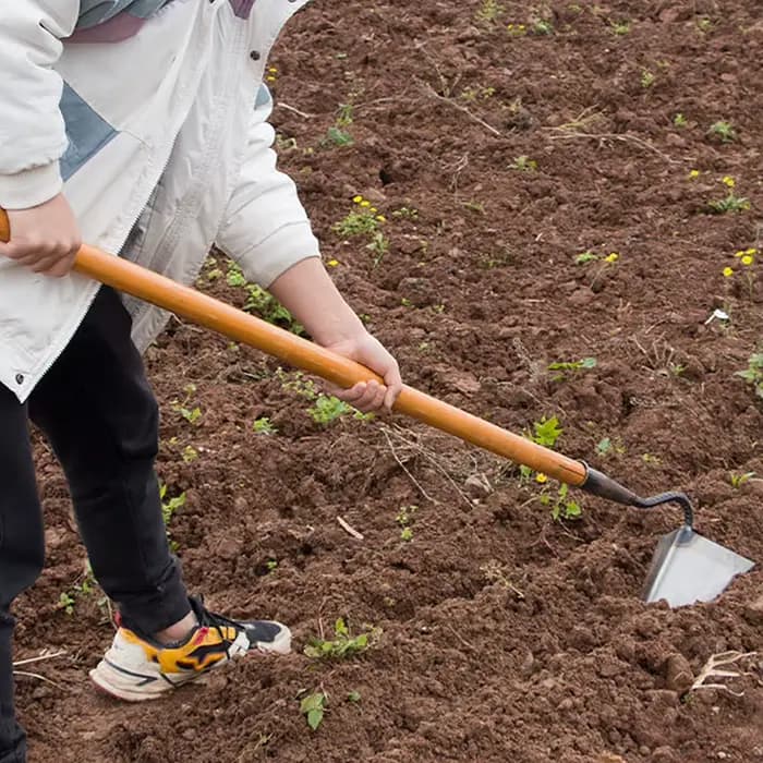 Outils agricoles, houes triangulaires à petite pointe