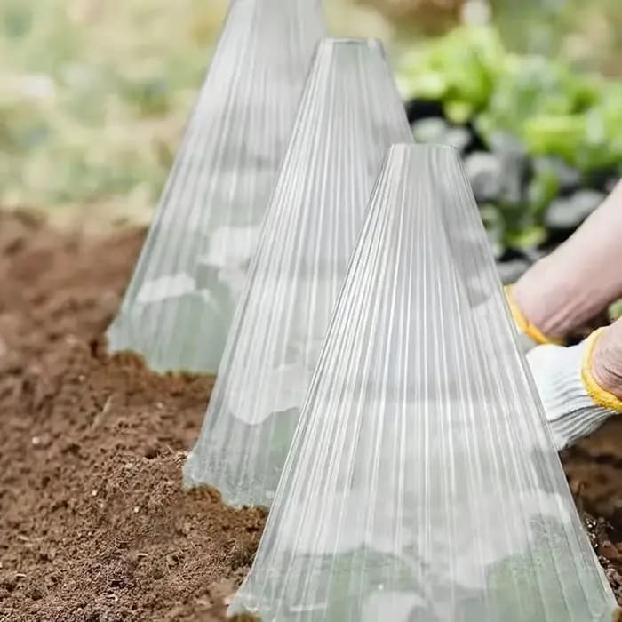 Couvercle de protection pour semis, boîte de croissance, tente de plantation, couvercle d'horloge po