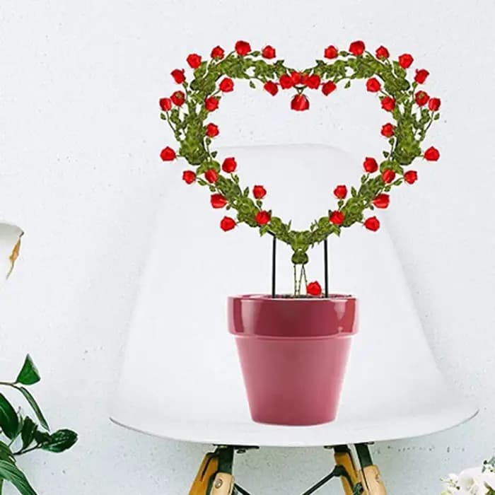 Piquet de support de plante de jardin en forme de coeur, cadre d'escalade de vigne circulaire pour f