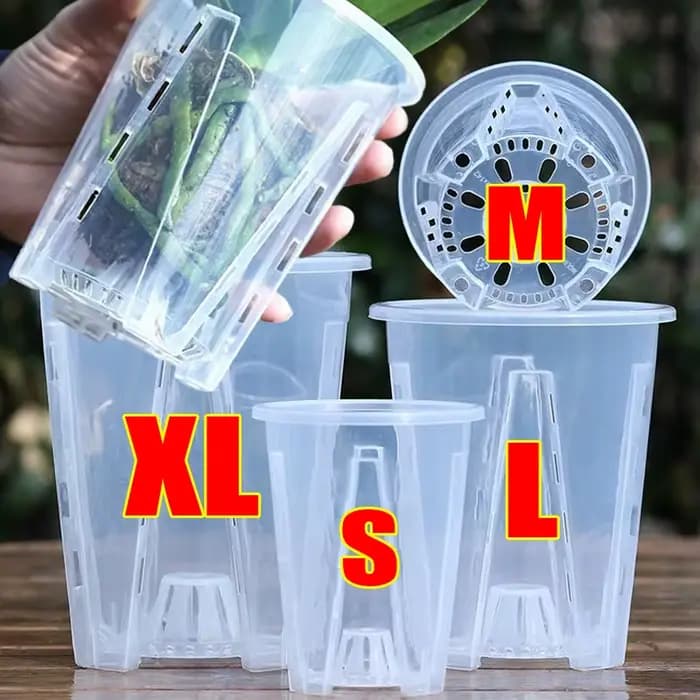 Pots à orchidées en plastique transparents avec trous de ventilation pour la plantation des Phalaeno
