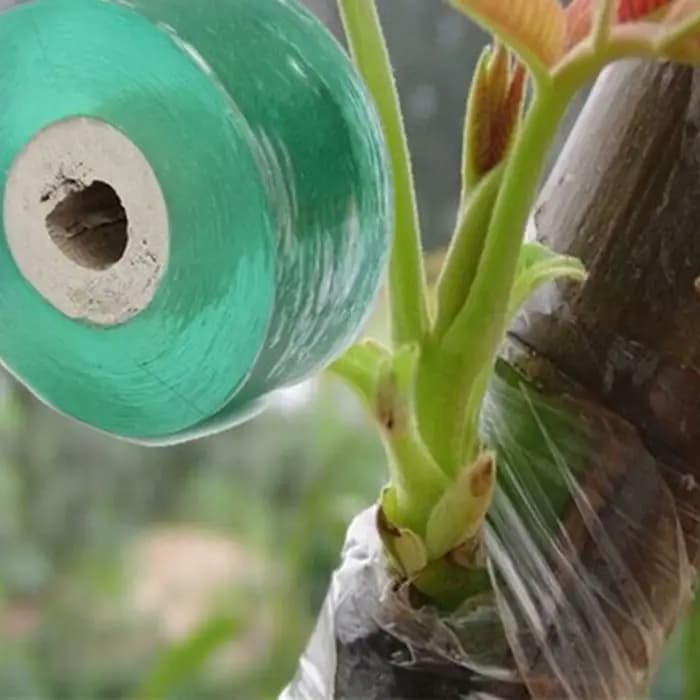 Film à membrane de greffage d'arbres fruitiers, bande de protection des plantes, film auto-adhésif,