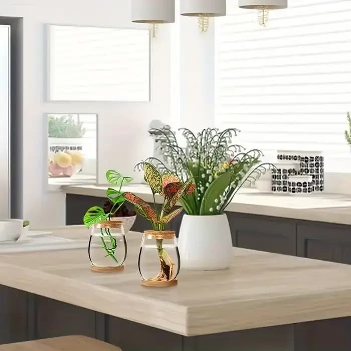 Pot en verre hydroponique - Vase de propagation moderne pour plantes d'intérieur et décoration intérieure