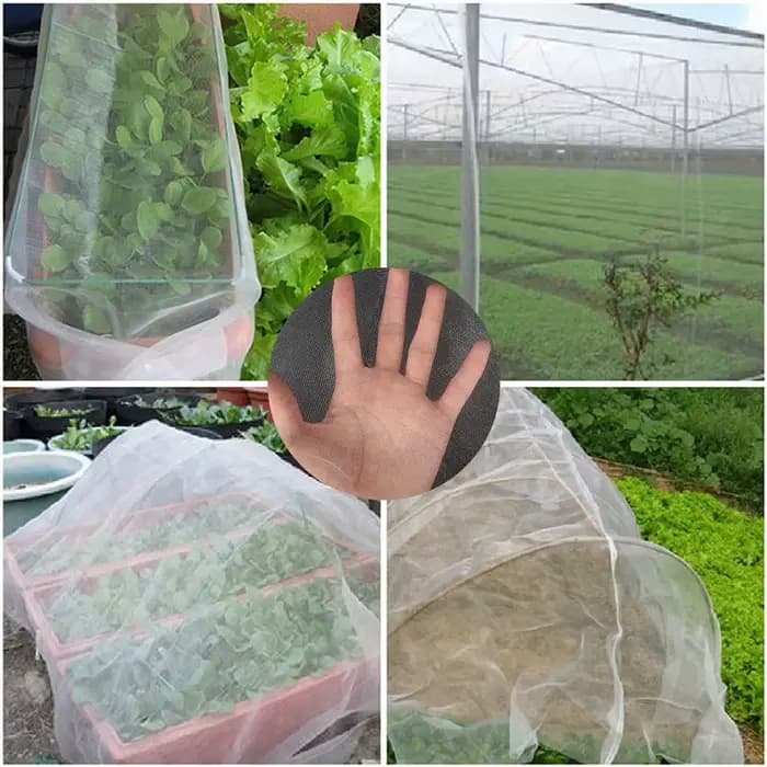 Filet de Protection contre les insectes de jardin, 60 mailles, pour fleurs, serre, plantes, fruits,