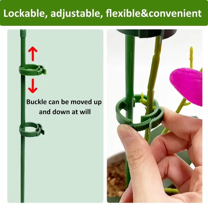 Piquets de Support pour plantes 90/60/30cm, réglables pour jardin, tige unique, Support de fleurs, b